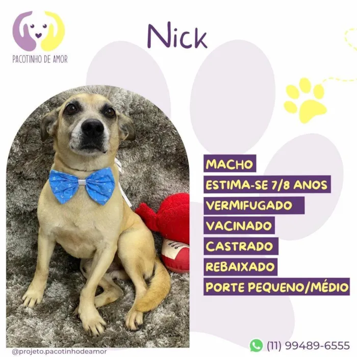 Cachorro ra a SRD-ViraLata idade 6 ou mais anos nome Nick