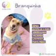 Branquinha
