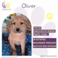 Oliver