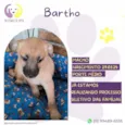 Bartho