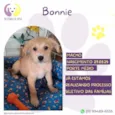 Bonnie