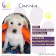 Clarinha