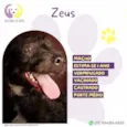 Zeus :)