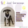 José Saramago