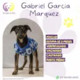Gabriel