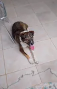 Vitória