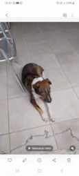 Vitória