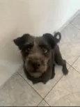 Lua
