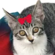 Mia 