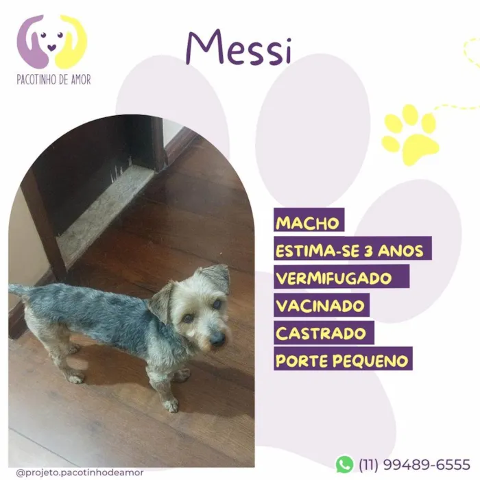 Cachorro ra a SRD-ViraLata idade 3 anos nome Messi