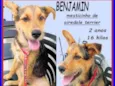 Benjamin