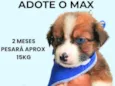 Max