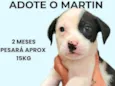 Martin