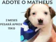 Matheus