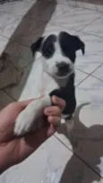 Sem nome