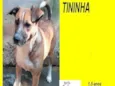Tininha
