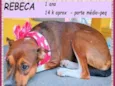Rebeca