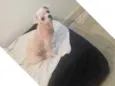 Nik