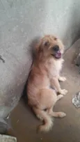 Kiara e Zeus