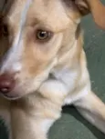 Fiona