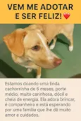 Fiona