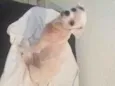 Nik