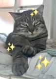 Giorgio