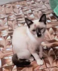 Adèle bb3meses Linda