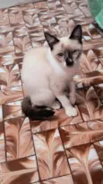 Adèle bb3meses Linda