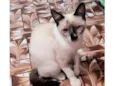 Adèle bb3meses Linda