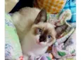 Charlotte bb2meses Linda
