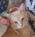 Francisco