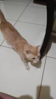 Francisco