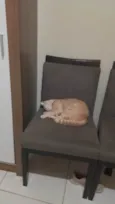 Francisco