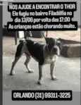 THORNADO