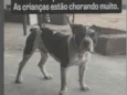 THORNADO