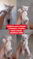Sem Nome