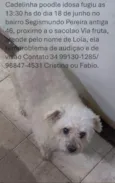 Lola