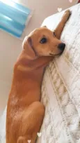 Mamãe