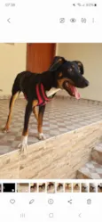 FILOMENA