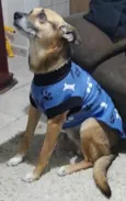 Piter