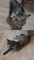 Lola e Kiara
