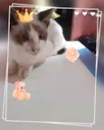 Fumaça