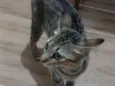 Lola e Kiara