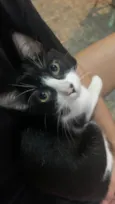 Tom
