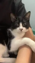 Tom