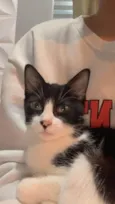Tom