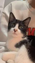 Tom
