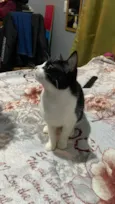 Tom