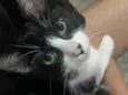 Tom